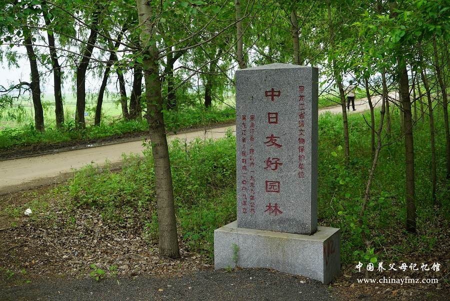 横滨中国养父母谢恩团(324).JPG