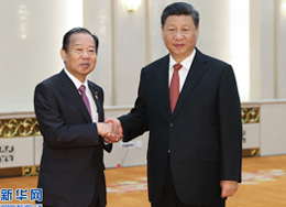 习近平会见日本首相特使二阶俊博