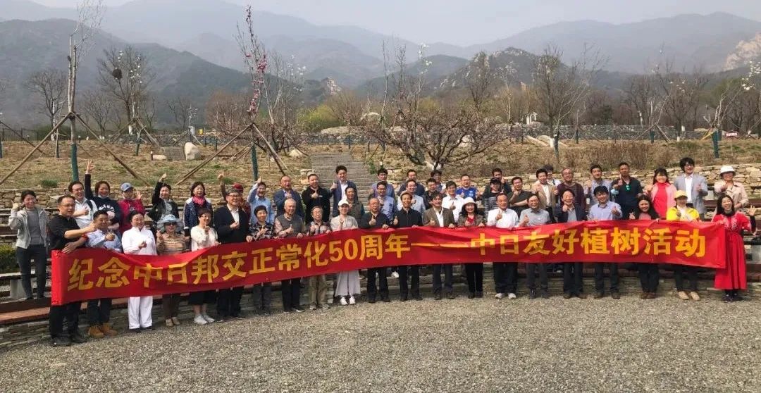 共植友谊林,誓言续和平